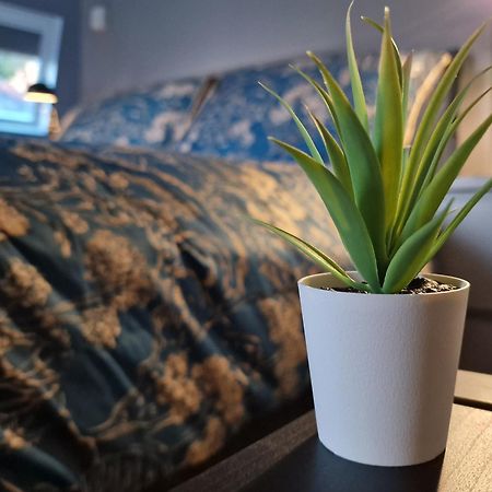 The Penthouse Ny Loft Apartment Barmouth Dış mekan fotoğraf