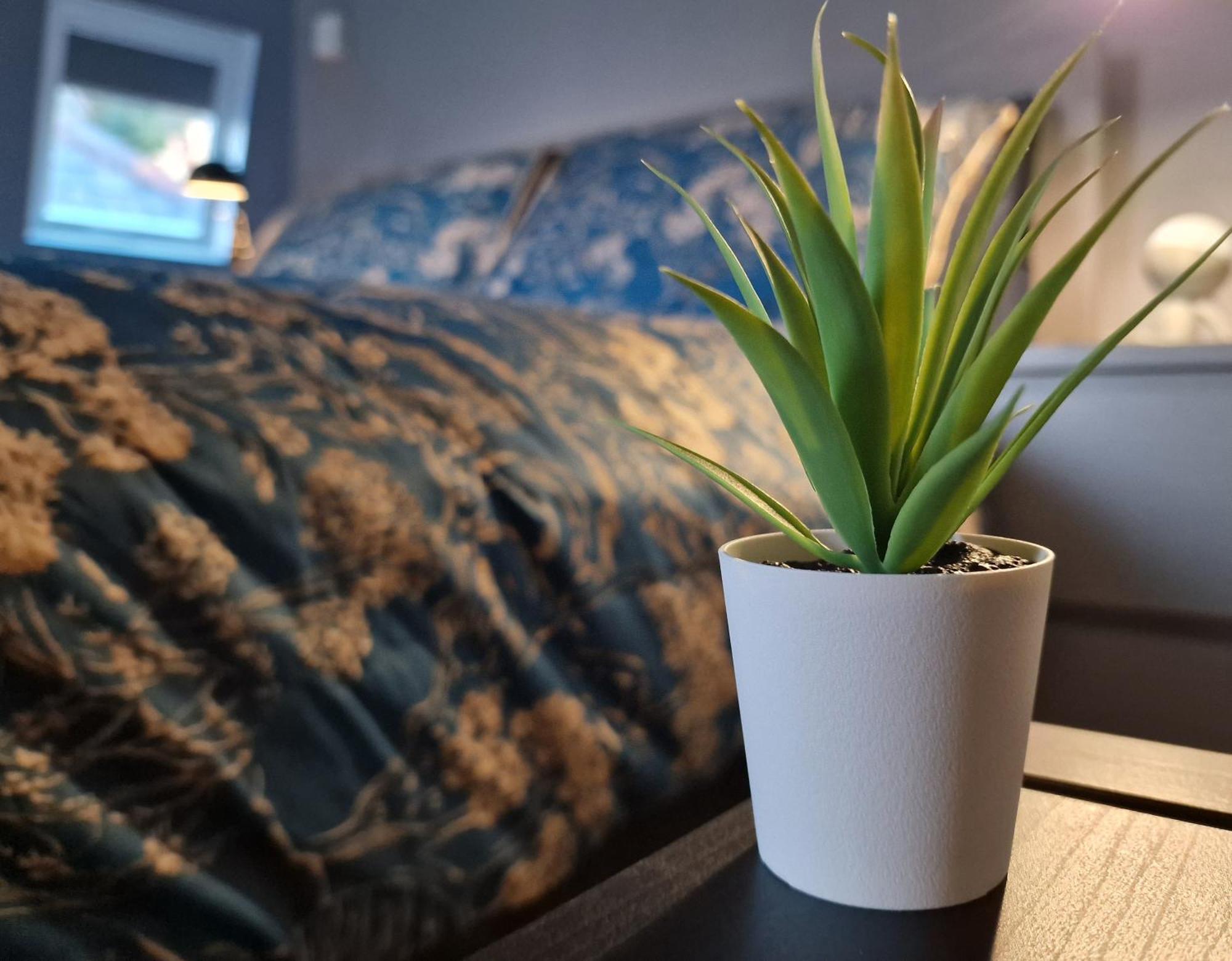 The Penthouse Ny Loft Apartment Barmouth Dış mekan fotoğraf